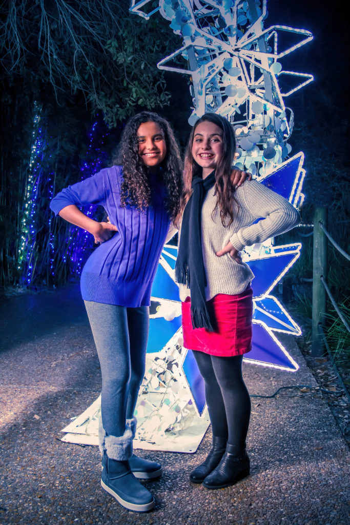 TXU Energy Presents Zoo Lights at the Houston Zoo